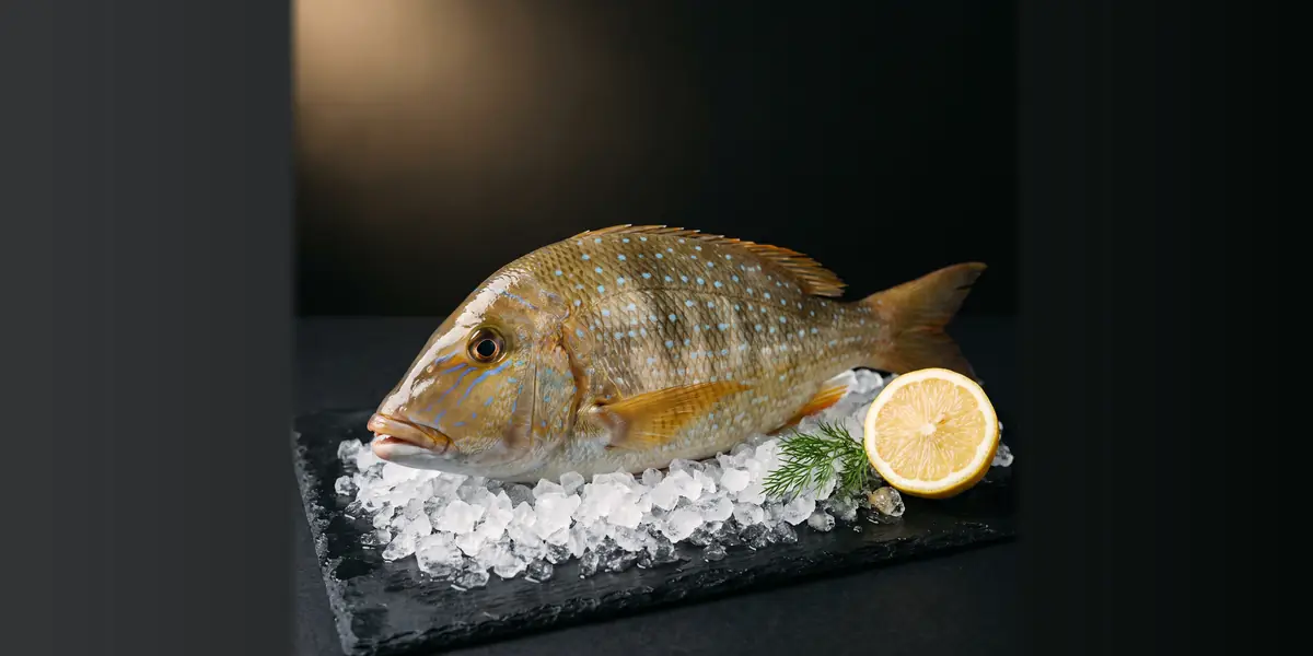 Poisson capitaine frais du lagon mauricien, prêt à être préparé et livré à Maurice