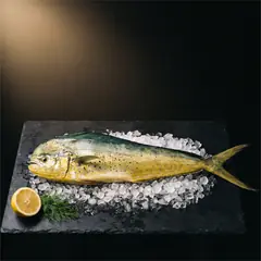 Dorade coryphène