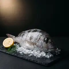 Gueule pavée d’argent